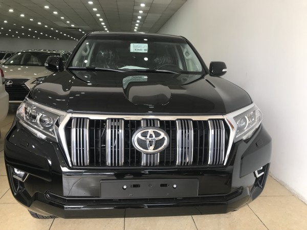Toyota Prado Bán Toyota land Cruise Prado VX 2019 nh