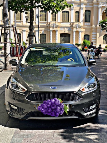 Ford Focus FORD FOCUS 2017 ECOBOOST CỰC ĐẸP