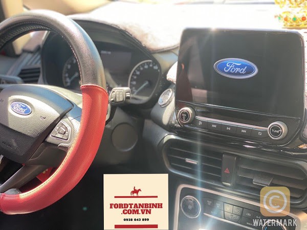 Ford Ecosport Titinium 2019 đẹp xuất sắc