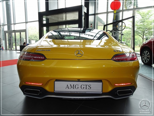 Mercedes-Benz AMG GTS - SPEED ANGEL - SPECIAL PRICE!