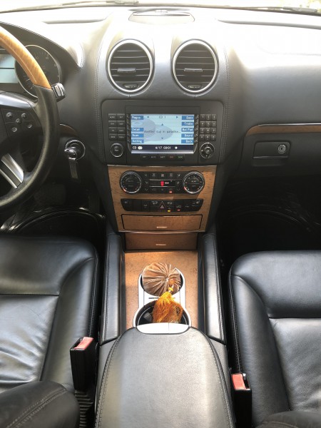 Mercedes-Benz GL 450 Xe Mercedes Benz GL GL 450 4Matic 2008